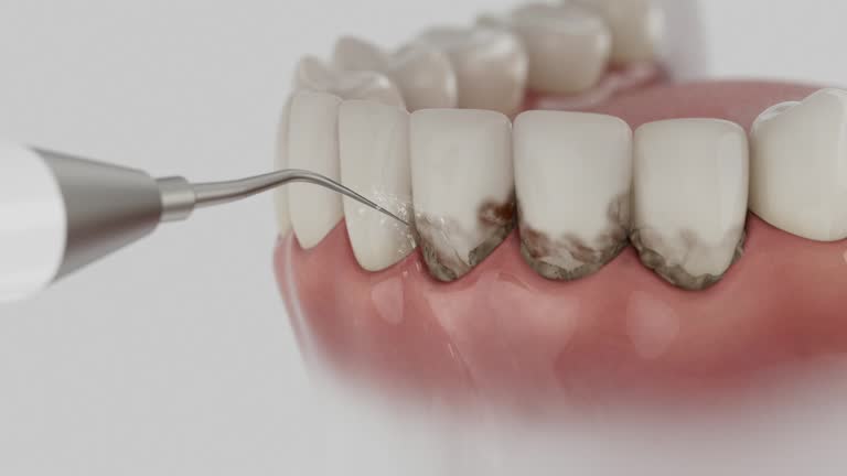 Reliable Dental contractor in Ashland City, TN by Dentist Open Now